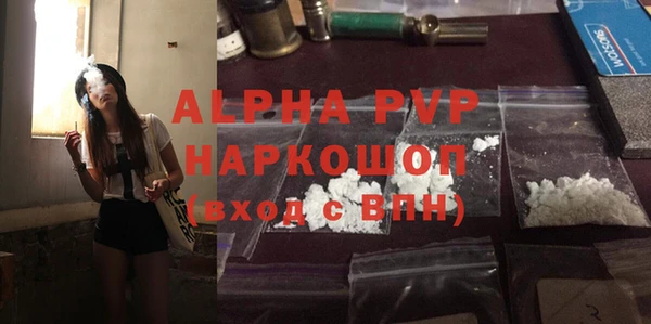 шишки Беломорск