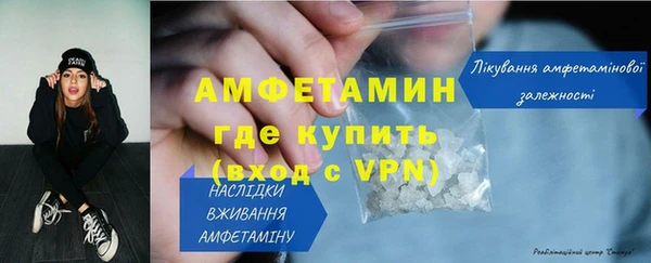 шишки Беломорск