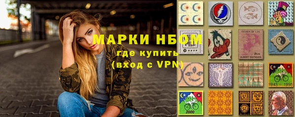 шишки Беломорск