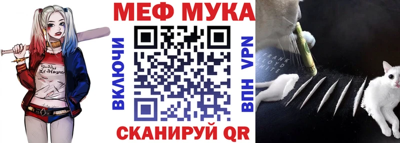 МЯУ-МЯУ мяу мяу Дагестанские Огни