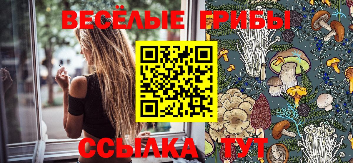 где купить наркоту  Дагестанские Огни  Галлюциногенные грибы ЛСД 