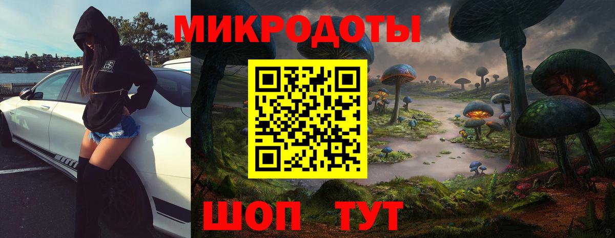 Галлюциногенные грибы Psilocybe  Галлюциногенные грибы MAGIC MUSHROOMS  Дагестанские Огни  Вход с VPN 